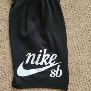 Mens Nike sb shorts